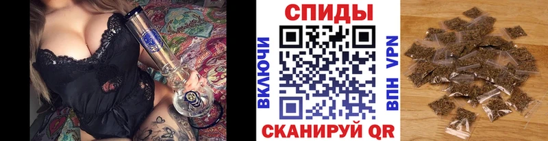 Бутират буратино  Светлоград 