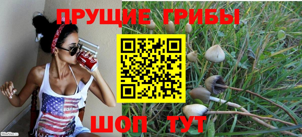 Псилоцибиновые грибы ЛСД Светлоград