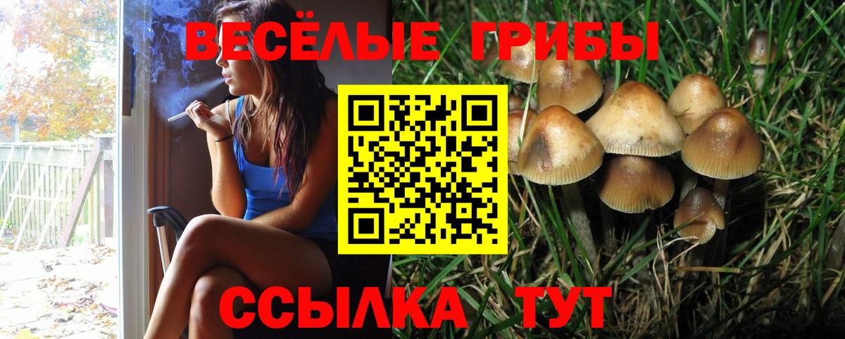 Светлоград  Псилоцибиновые грибы ЛСД  цена   Вход с VPN 